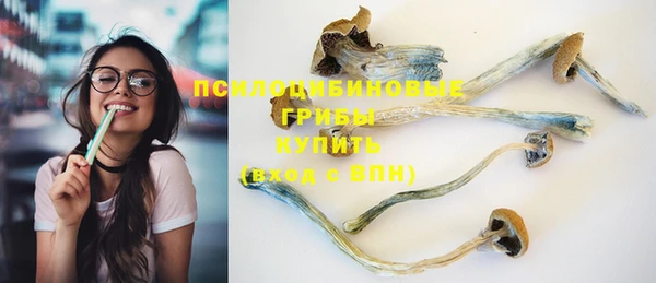 гашик Алексеевка