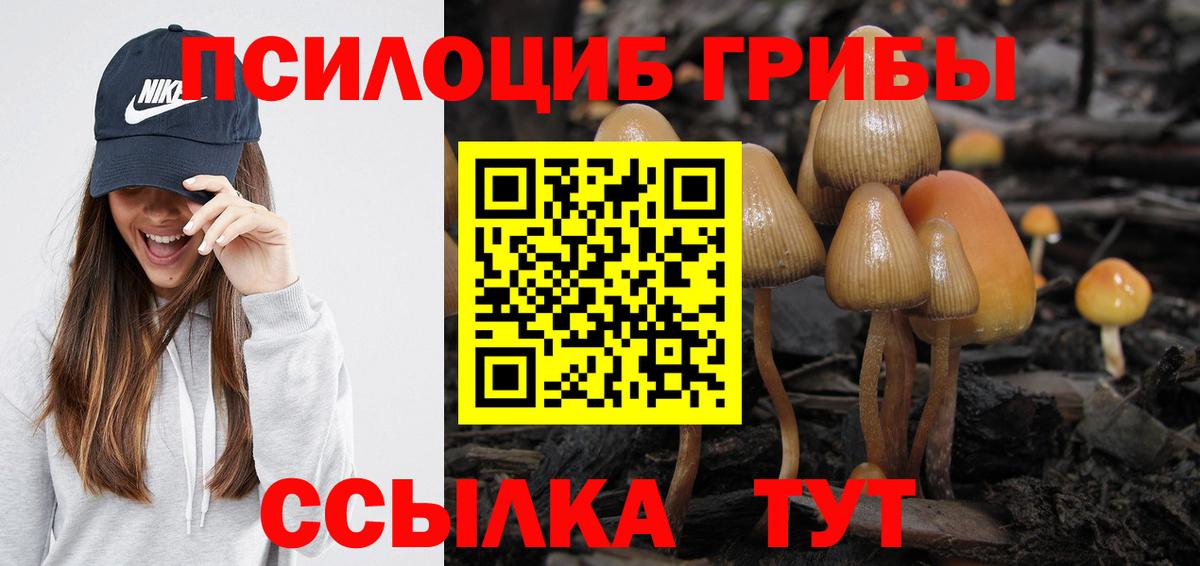 Псилоцибиновые грибы MAGIC MUSHROOMS Калининград