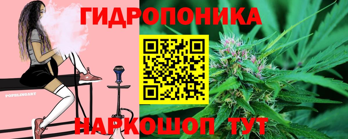 Конопля семена  Вход с VPN  Шишки марихуана AK-47  Калининград  Бошки Шишки тримм 
